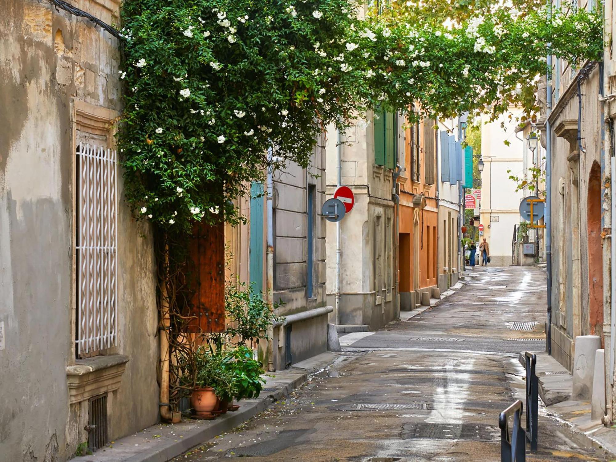 Hebergements Modernes & Cosy A Arles T3 Et T2 Elegants Екстериор снимка